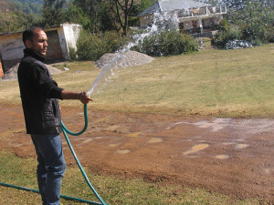 Regular watering is required