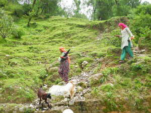 Meeting other people on their way down the hill, too.